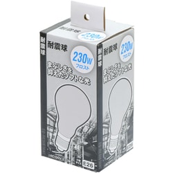 耐震球フロスト(A) 230W