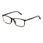 サングラス V255(M) V50(55) PO