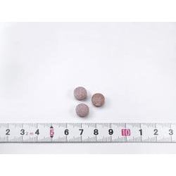 小林製薬 - 小林製薬　サラシア100 特定保健用食品(60粒) 4セット 小林製薬のサラシア100 特定保健用食品 ( 60粒 )/ 小林製薬の