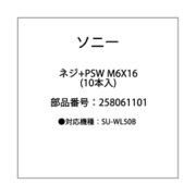 ネジ ＋PSW M6X16 10本入 2-580-611-01