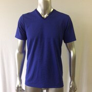 ボーダーVTシャツ LLサイズ ブルー 100-063