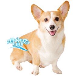 ヨドバシ Com ペティオ ペッツスマイルド 肌に優しいアミノ酸配合シャンプー 短毛犬用 350ml 通販 全品無料配達 ヨドバシ Com ペティオ ペッツスマイルド 肌に優しいアミノ酸配合シャンプー 短毛犬用 350ml 通販 全品無料配達