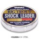 スーパートラウト アドバンス ビッグトラウト ショックリーダー VSP フロロ 12lb [ライン トラウト用]