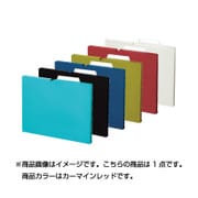 個別フォルダー NEOS A4マチ15mm幅 カーマインレッド A4P-NEF15R