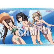 ストライク・ザ・ブラッドII キャラクター万能ラバーマット 海辺 [短辺約370×長辺約520×厚さ約2mm]