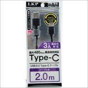 ケーブルタイ付 タイタイプCケーブル 2.0m ブラック RLT-2.0BK