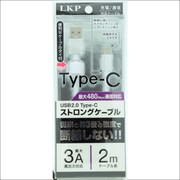 ケーブルタイ付 タイプCストロングケーブル 2.0m シルバー RLTS-2.0S