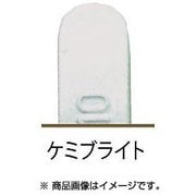 ブラーノーマル 8g ケミ [仕掛け 投げ用]