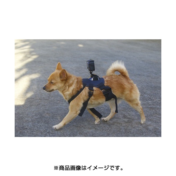 ドッグハーネスマウント