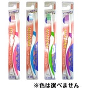 歯ブラシ 毛の硬さ：ふつう 1本 カラー選択不可