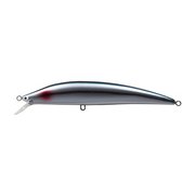K-TEN BK175SW [RS16 カタクチイワシ]
