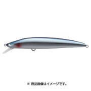 K2F162T:3 B106 カタクチイワシ