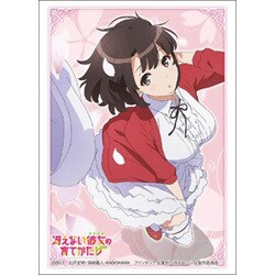 Amazon | ブシロードスリーブコレクション ハイグレード Vol