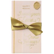 祝儀袋 AWORD 金封 ベビーピンク キ-W10