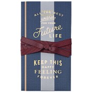 祝儀袋 AWORD 金封 ネイビー キ-W13