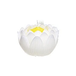 蓮の花 大 ホワイト 箱入り