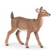 50218 WILD ANIMALS オジロジカのお母さん [動物系フィギュア]