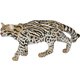 50224 WILD ANIMALS オセロット [動物系フィギュア]