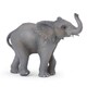 50225 WILD ANIMALS ゾウの子どもB [動物系フィギュア]