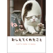 CUメッセージブック（ねこ） E100-60