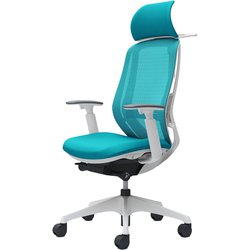 【完成品】 Sylphy（シルフィ） ブルーグリーン 【エクストラハイバック メッシュタイプ アジャストアーム付 ホワイトボディ 樹脂脚 ハンガー・ランバーサポート付 ナイロンキャスター】 ※受注生産 C68BXZ FMR6