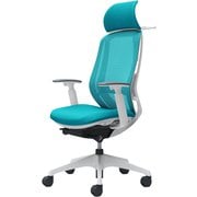 【完成品】 Sylphy（シルフィ） ブルーグリーン 【エクストラハイバック メッシュタイプ アジャストアーム付 ホワイトボディ 樹脂脚 ハンガー・ランバーサポート付 ナイロンキャスター】 ※受注生産 C68BXZ FMR6