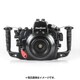 NA D600 S4FG