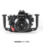 NA D600 S4FG