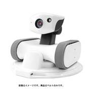 アボットライリー用ベルト 灰色 [見守りロボット 交換用シリコンベルト]