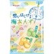 想いはじける梅あんず 90g [飴]