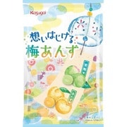 想いはじける梅あんず 90g [飴]