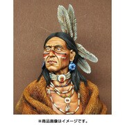スー族ラコタ兵 [1/10 レジン製バストモデル]