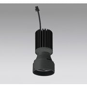 2500lmクラス用光源ユニット 本体・電源装置別売 4000K(白色) ブラック XD422008
