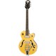 セミアコースティックギター Antique Natural WILDKAT AN