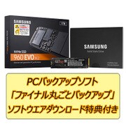 SSD960EVO M.2 1TB DLソフトウエア添付 MZ-V6E1T0YO3