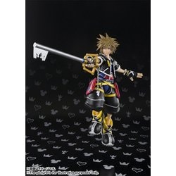 ヨドバシ.com - バンダイ BANDAI S.H.Figuarts(フィギュアーツ) ソラ