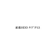 拡張HDD タイプP13 513719