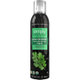 Organic Spray On Herbs Cilantro [オーガニックハーズ スプレーオイル]