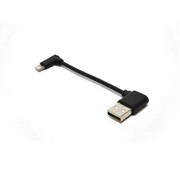 HA-2(SE)用オプションケーブル CA-HA2-LDL2 L-Type Lightning data cable