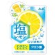 アサヒ 塩レモングミ 44g
