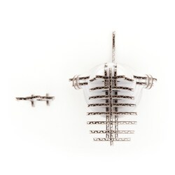 d-torso ムーミン 100 (白) g6bh9ry Amazon | d-torso ムーミン 100 (白) | 生物・動物・人体 | おもちゃ
