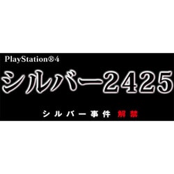 PS4 ゲームソフト　シルバー2425