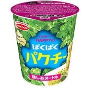 ぱくぱくパクチー 鶏しおヌードル 63g