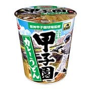 阪神甲子園球場監修 甲子園カレーうどん 60g