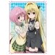 角スリvol.19 「娘TYPEカバーコレクション／To LOVEる -とらぶる- ダークネス」 KS-57 [トレカ用品]