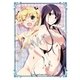 角スリvol.19 「娘TYPEカバーコレクション／グリザイアの果実」 KS-58 [トレカ用品]