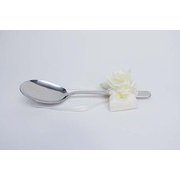 ファーストバイトスプーン FS-005CB