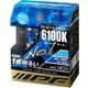 61L11 [ヘッドライト/フォグランプ用ハロゲンバルブ 6100K 12V65W（明るさ感140Wクラス） H11 車検対応 2個入り]