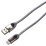 Type-C/Type-A クロムケーブル 3A 1m シルバー BUSACCR100SV