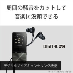 【外箱・説明書・ケーブル付き】SONY　ウォークマン　NW-S313　 4GB 外箱・説明書・ケーブル付き】SONY ウォークマン NW-S313 4GB 外